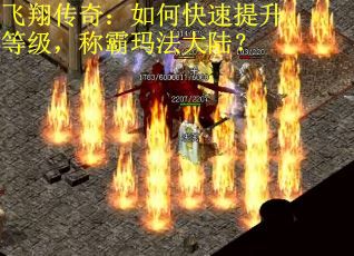 飞翔传奇：如何快速提升等级，称霸玛法大陆？