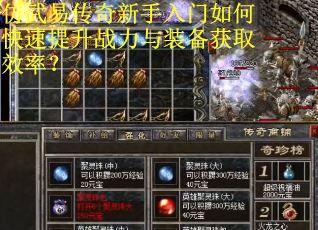 仿武易传奇新手入门如何快速提升战力与装备获取效率？