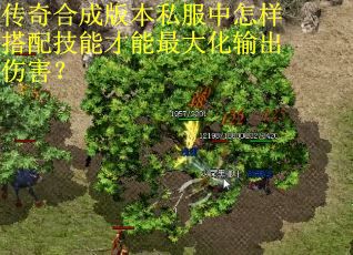 传奇合成版本私服中怎样搭配技能才能最大化输出伤害？