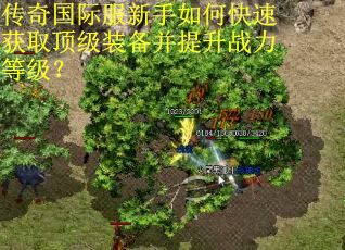 传奇国际服新手如何快速获取顶级装备并提升战力等级？