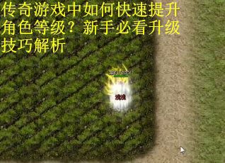 传奇游戏中如何快速提升角色等级？新手必看升级技巧解析