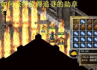 如何获得值得追寻的勋章? 如何获得值得追寻的勋章?