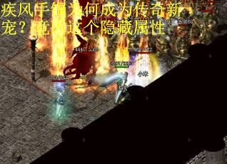 疾风手镯为何成为传奇新宠？竟因这个隐藏属性