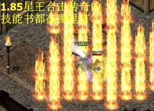 1.85星王合击传奇的技能书都在哪里打？