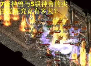 7级神兽与5级神兽的实战差距究竟有多大? 7级神兽与5级神兽的实战差距究竟有多大?