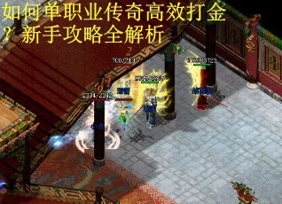 如何单职业传奇高效打金？新手攻略全解析