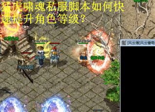 猛虎啸魂私服脚本如何快速提升角色等级？