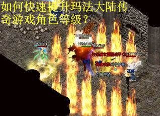 如何快速提升玛法大陆传奇游戏角色等级？