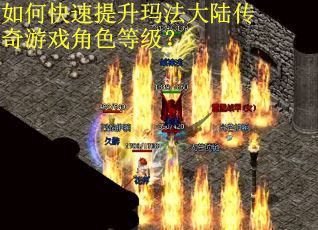 如何快速提升玛法大陆传奇游戏角色等级？