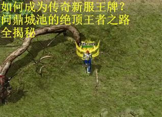 如何成为传奇新服王牌？问鼎城池的绝顶王者之路全揭秘