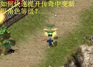 如何快速提升传奇中变新服角色等级？