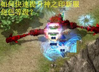 如何快速提升神之印新服角色等级？