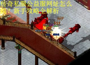 传奇私服公益服网址怎么找？新手攻略全解析
